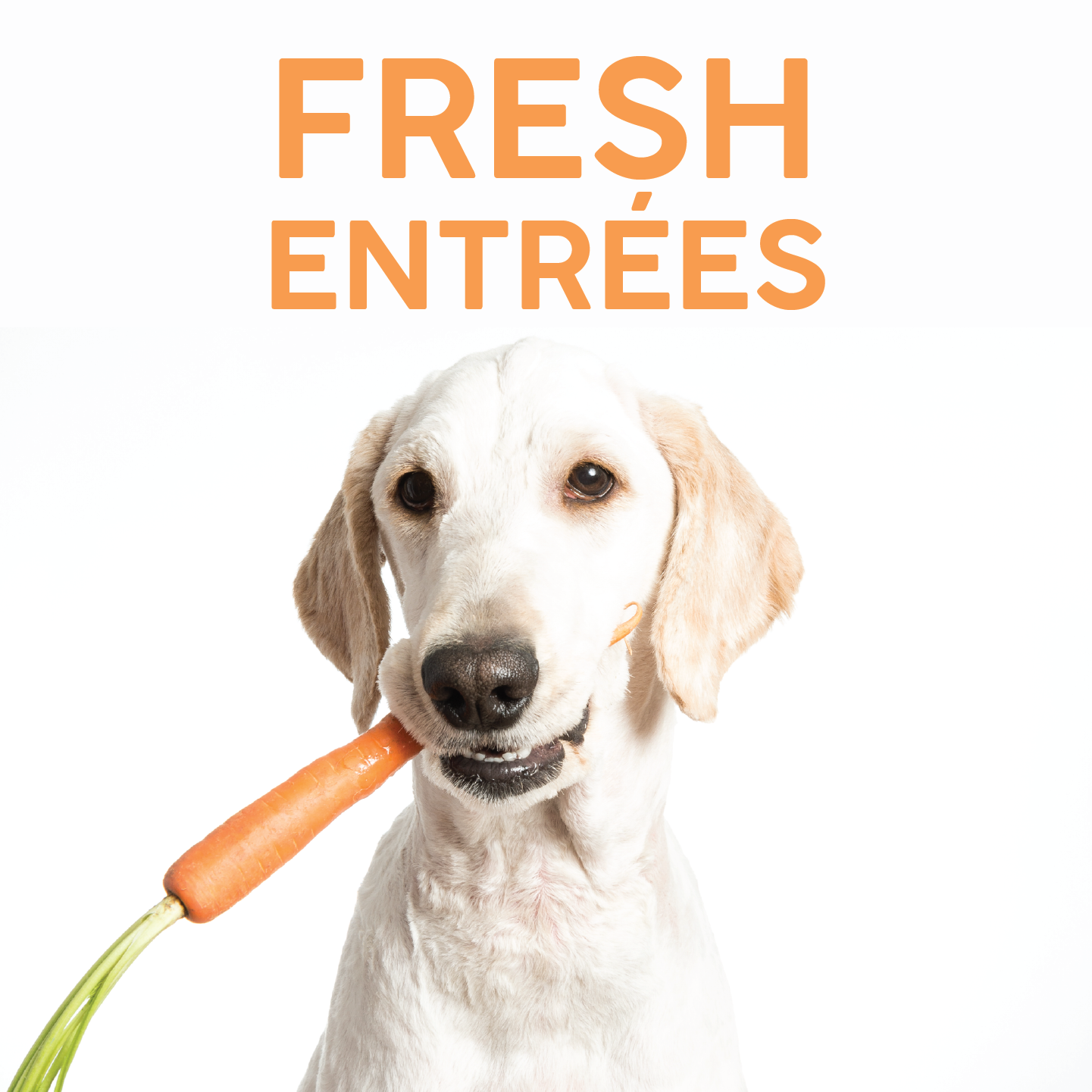 Our Signature Entrees