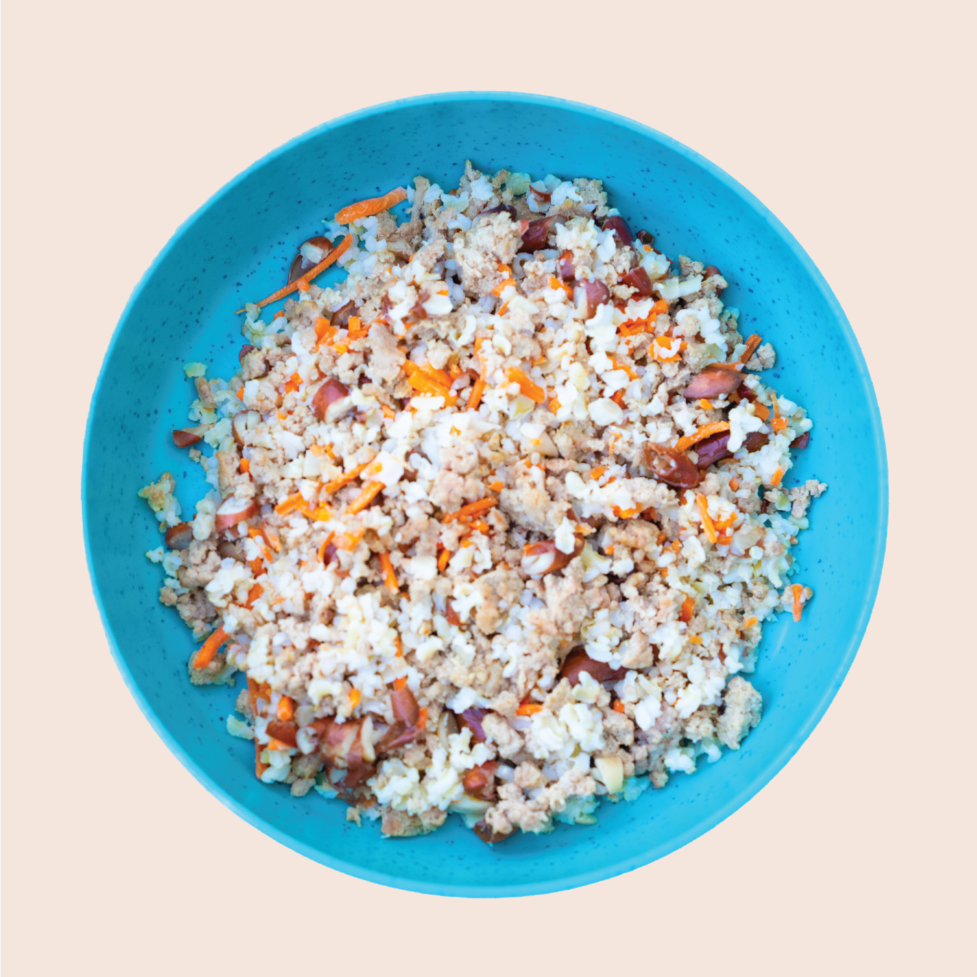 Tail Swingin’ Turkey – rocky's-canine-cuisine